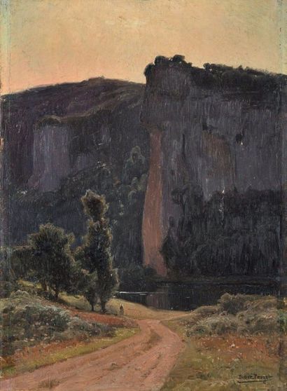 POUGET Didier (1864-1959) La falaise Huile sur panneau, signé en bas à droite 41...
