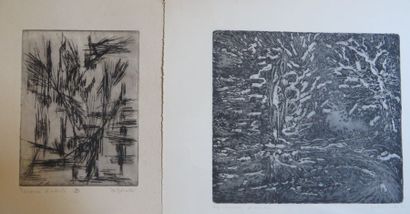 Jos DECOCK (1934-2010) Composition

Gravure sur papier signé et daté en bas à droite...