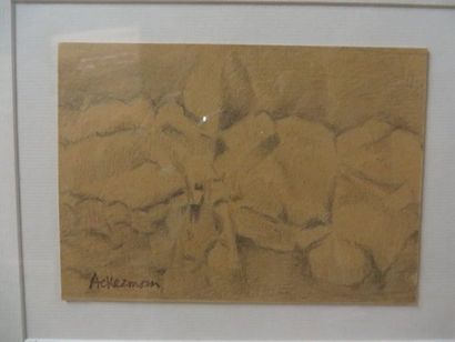 ACKERMAN Paul (1908-1981) 
Silhouette en montagne
Mine de plomb sur carton, signé...