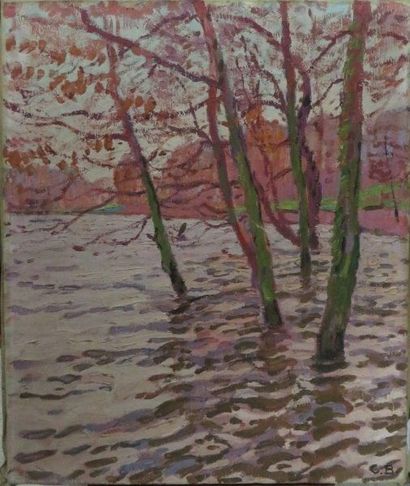 Charles BICHET ( 1863-1929) 

Rivière 

Huile sur toile monogrammé en bas à gauche

55...