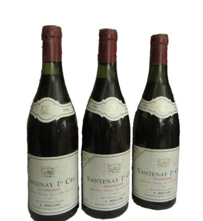 null 12 bouteilles


SANTENAY BEAUREGARD Rouge (1° Cru) 1983


Domaine Belland


(e.t.h...