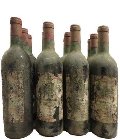 null 12 bouteilles


CHÂTEAU LA BÉCASSE 1975


CB Pauillac


(T.L.B ou mieux; e.t.a...