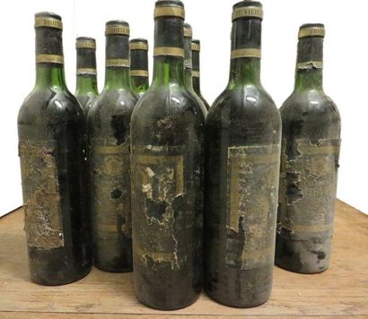 null 12 bouteilles


CHATEAU TROTTE VIEILLE 1975


GCC1B Saint-Emilion 


(H.E ou...