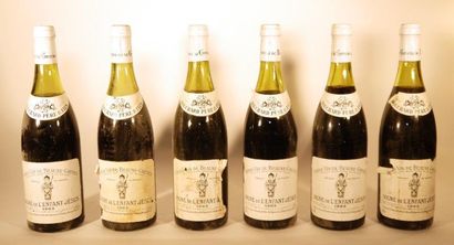 null 12 bouteilles


BEAUNE-GREVES VIGNE DE L'ENFANT JÉSUS (1° Cru) 1983 


Bouchard...