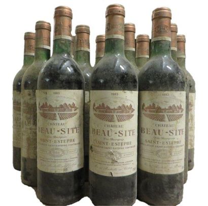 null 12 bouteilles


CHÂTEAU BEAU-SITE 1983


CB Saint-Estèphe 


(H.E ou mieux;...