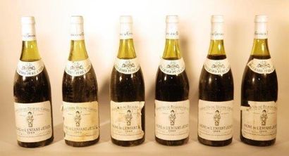 null 12 bouteilles

BEAUNE-GREVES VIGNE DE L'ENFANT JÉSUS (1° Cru) 1983 

Bouchard...