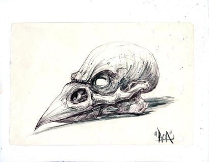ROA (Belge, né en 1976) Crane d’oiseau

Crayon et crayon gras sur papier, signé en...