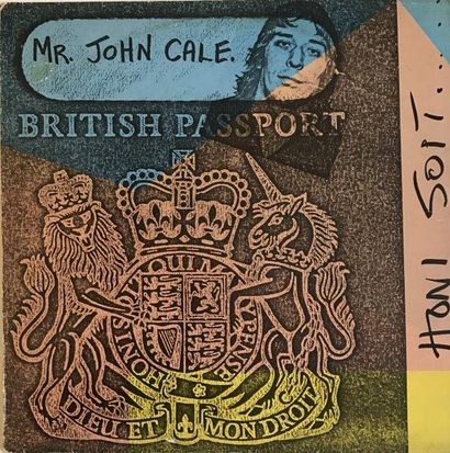 VINYLES 

Mr John Cale 

Impression sur pochette de disque vinyl et disque vinyl

Offset...