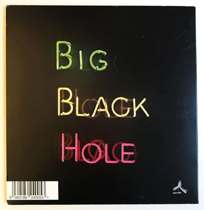 DAMIEN HIRST et Jason BEARD The Hours - Big Black Hole
Impression sur pochette de...