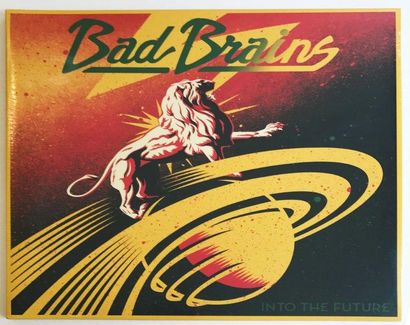 VINYLES 
Bad Brains - into the future, 2012
Impression sur pochette de disque et...