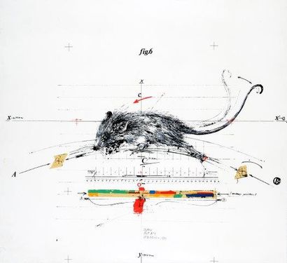 VELICKOVIC Vladimir ( né en 1935) 

Rat n°6, 1973

Lithographie en couleurs signé,...