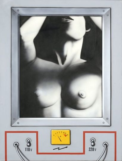Peter KLASEN (né en 1935) GRAND NU DE FACE, AMPEREMÈTRE, 110-220

V, 1973

Acrylique...