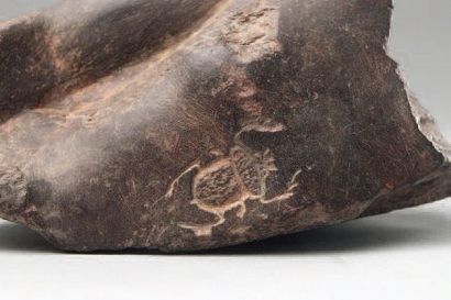 null Fragment de statue agenouillée peut être naophore, un scarabée est gravé sur...