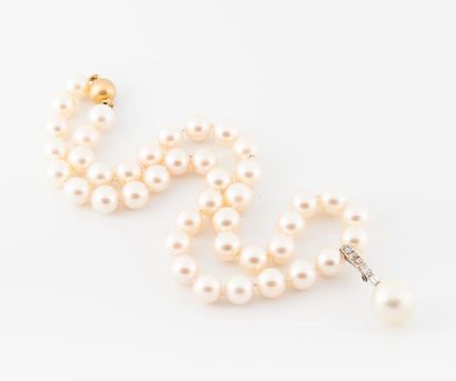 null Collier de perles de culture de 8,5 mm de diamètre environ rehaussé d'un pendentif...