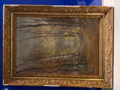 null Ecole de Barbizon 
Paysage d'automne
Huile sur toile : 46 x 33 cm.
Dans un cadre...