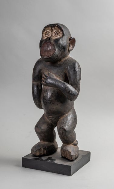 null 
BAOULE, carved wooden statue of a monkey. H. 39 cm.
