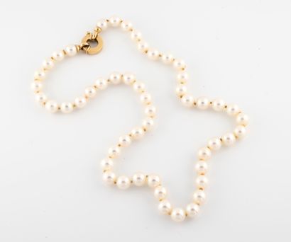 null Necklace of cultured pearls, clasp in gold 750°/°°.
Gross weight : 37,2 g.