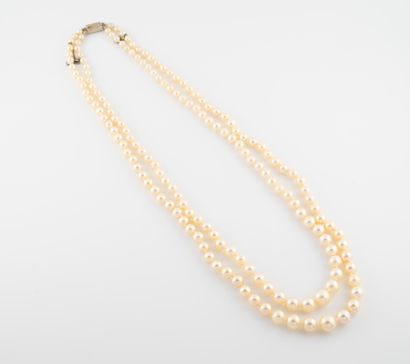 null Necklace double rows of cultured pearls from 4 to 8 diam. approx,
clasp in white...