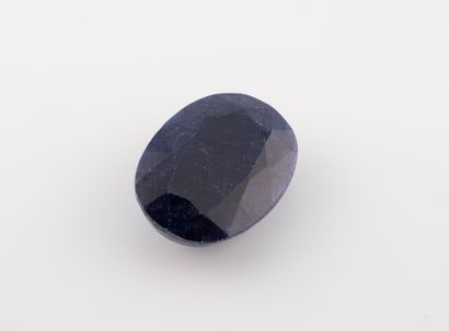 Oval sapphire root of 100 cts approx.