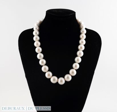 null Necklace of freshwater cultured pearls, approx. 12 to 15 diam. clasp in textured...