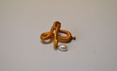 null Broche "serpent" en or 750 °/°° sertie d'une perle de culture (épingle 585 °/°°)...