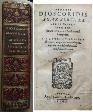 null [Pedanius DIOSCORIDE]. 
Pedanii Dioscoridis Anazarbei de medicacinali materia...