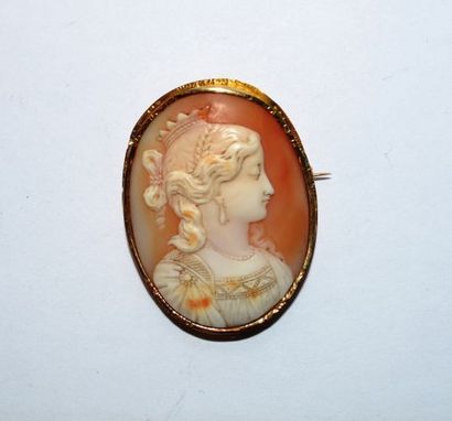 null Broche en or 750 °/°°ornée d'un camée coquillage profil de femme Néo-Renaissance....
