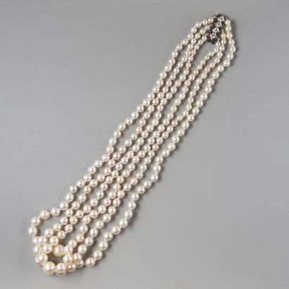 null Collier de trois rangs de perles de culture en chute, fermoir en or gris 750...