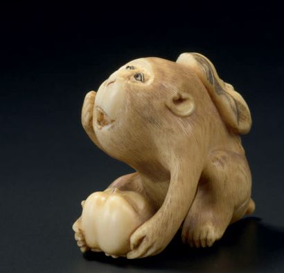 JAPON - Epoque MEIJI (1868-1912) 
Netsuke en ivoire, singe assis tenant un kaki et...