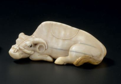 JAPON - Epoque MEIJI (1868-1912) 
Netsuke en ivoire, buffle couché, la longe passant...