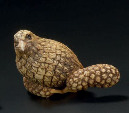 JAPON - XIXE SIÈCLE 
Ivory Netsuke, quail on millet ears.
Signed Gyotosai. (Restored...