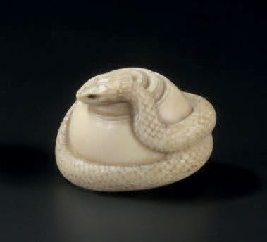 JAPON - Epoque MEIJI (1868-1912) 
Netsuke en ivoire, serpent enroulé autour d'un...