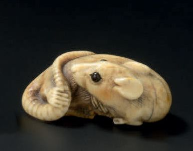 JAPON - Epoque MEIJI (1868-1912) 
Netsuke en ivoire, rat couché attrapant sa queue...