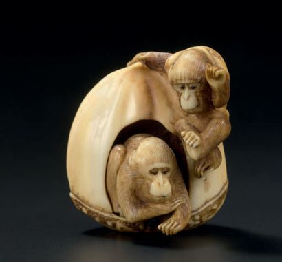 JAPON - Epoque MEIJI (1868-1912) 
Netsuke en ivoire, deux singes, l'un sortant d'une...