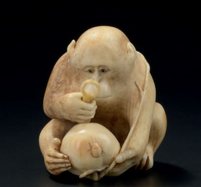 JAPON - Epoque MEIJI (1868-1912) 
Netsuke en ivoire, singe tenant une loupe, examinant...