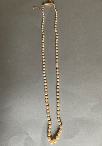 Necklace of cultured pearls in fall. The...