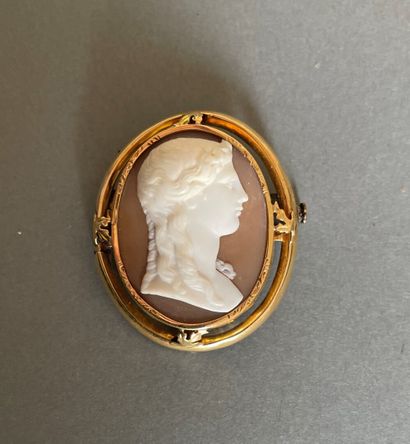 Oval shell cameo brooch in a yellow gold...