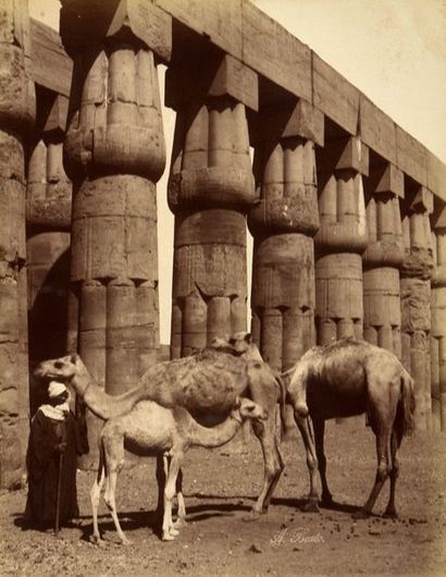 null Égypte 

2 albums : 

- Lekegian et divers 

Égypte, c. 1880. 

Album in-4 composé...