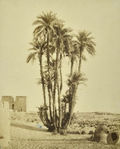 null Félix Bonfils - Henry Cammas - Félix Teynard et divers

Égypte, c. 1860-1880.

Plaine...