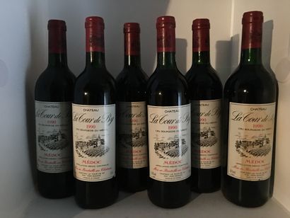12 bouteilles de Château LA TOUR DE BY Médoc...