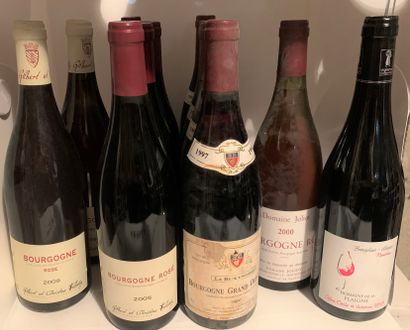 12 bouteilles dont 6 BOURGOGNE Rosé de Gilbert...