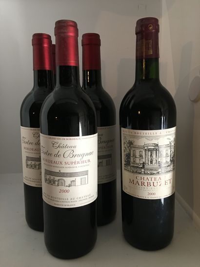 6 bouteilles dont 1 Château HAUT-MARBUZET...