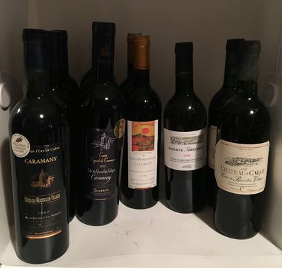 null 12 bouteilles de CÔTES DU ROUSSILLON VILLAGES dont 6 des Vignerons de Caramany,...