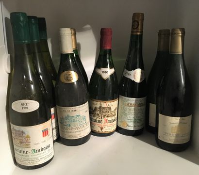 12 bouteilles dont 2 TOURAINE-AMBOISE 1989...