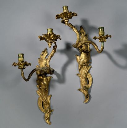 null Paire d'appliques en bronze doré à deux bras de lumière et décor de larges feuillages.
Milieu...