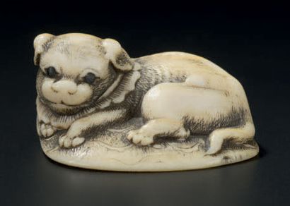 JAPON - Epoque MEIJI (1868-1912) 
Netsuke in ivory, puppy lying on a carpet, wearing...