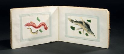 CHINE - XIXe siècle 
Album horizontal à douze encres et couleurs sur papier de riz...