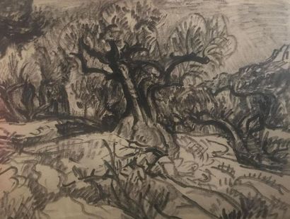 null Pierre DIONISI ( 1904-1970) L'arbre sur la butte Encre sur papier, monogrammé...