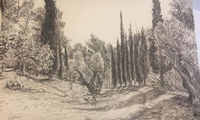 null Pierre DIONISI ( 1904-1970) Le vieil olivier dans le sous-bois Encre sur papier,...