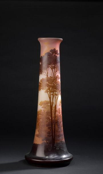 null Émile GALLÉ (1846-1904)

Large tubular vase on swollen base and conical neck....
